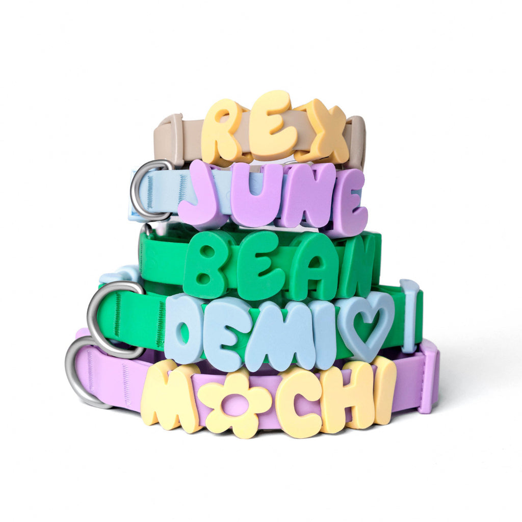 Silicone Letter Charm – Personalized Pet Collar Name Tag