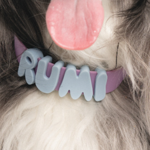 Silicone Letter Charm – Personalized Pet Collar Name Tag
