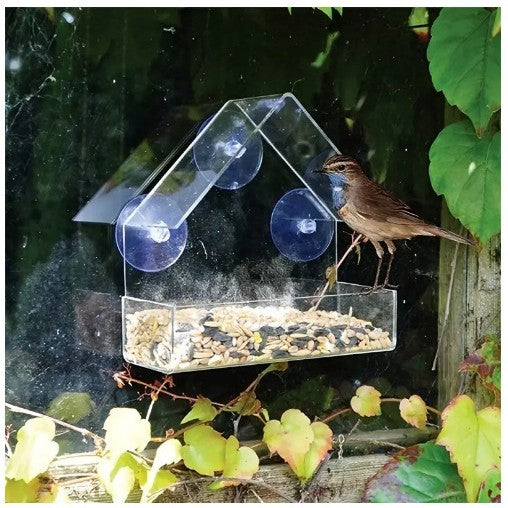 Transparent Acrylic Bird Feeder – Triangular House Design