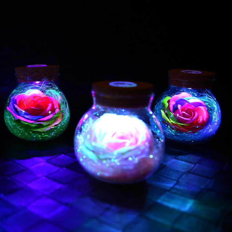 Eternal Rose Glass Wishing Bottle with LED Lights