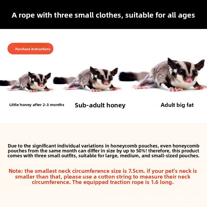 Small Pet Leash – Secure and Durable Outdoor Harness