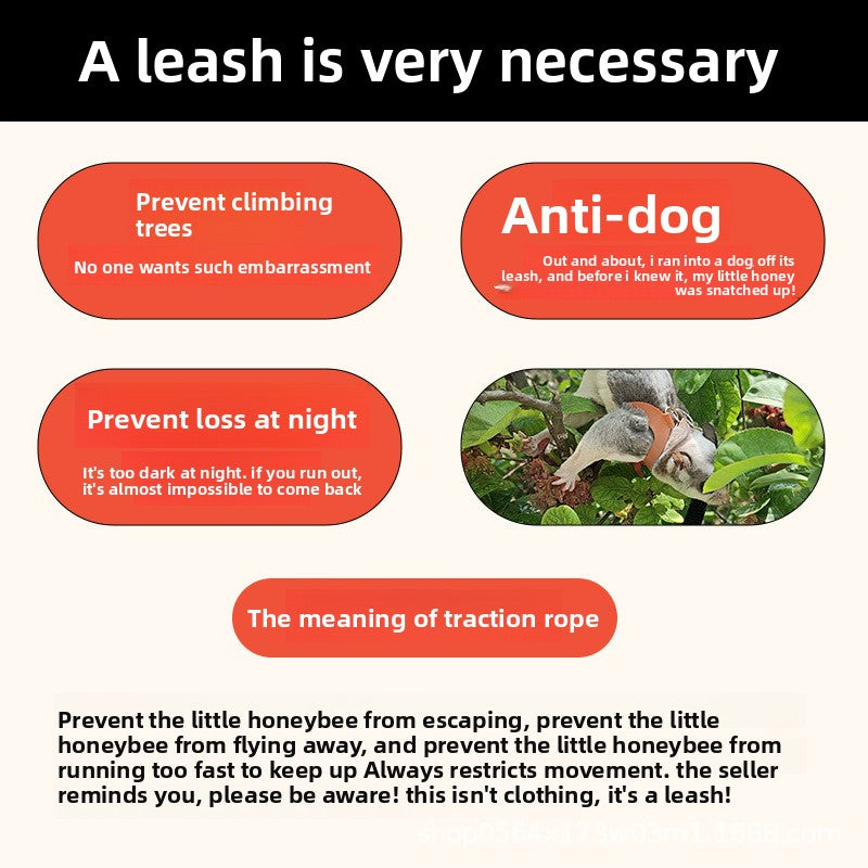 Small Pet Leash – Secure and Durable Outdoor Harness