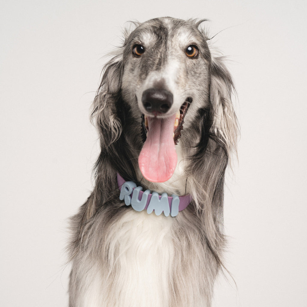 Silicone Letter Charm – Personalized Pet Collar Name Tag