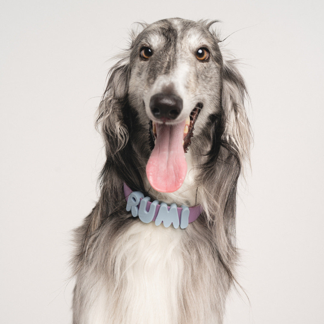 Silicone Letter Charm – Personalized Pet Collar Name Tag